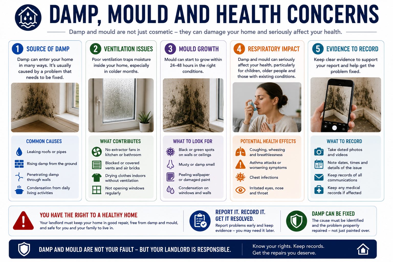 Damp mould and health concerns infographic